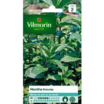 Graines Menthe Poivrée - VILMORIN