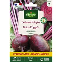 Graines Betterave Potagère Noire Plate d'Egypte - VILMORIN
