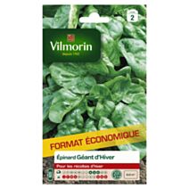 Graines Epinard Géant d'Hiver Grand Format - VILMORIN