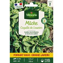 Graines Mâche Coquille de Louviers Grand Format - VILMORIN