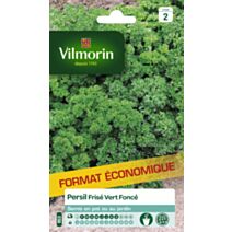 Graines Persil Frisé Vert Foncé - VILMORIN