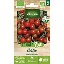 Graines Tomate Cerise Bio - VILMORIN