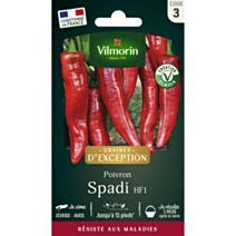 Graines Piment Doux Spadi HF1 - VILMORIN