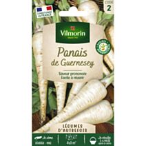 Graines Panais de Guernesey - VILMORIN