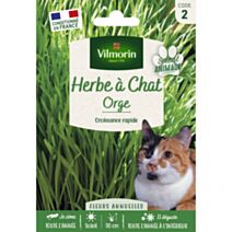 Herbe à Chat Orge