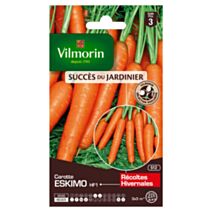 Graines Carotte Eskimo HF1 - VILMORIN