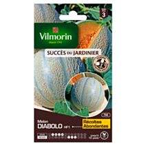 Graines Melon Diabolo HF1 - VILMORIN