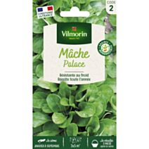 Graines Mâche Palace - VILMORIN
