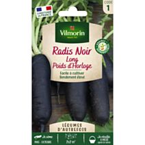 Graines Radis Noir Long Poids d'Horloge - VILMORIN