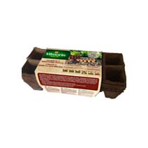 50 Godets Carrés Coco 5cm - VILMORIN