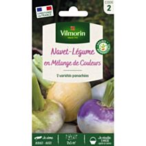 Graines Navet Légume Mélange de Couleurs - VILMORIN