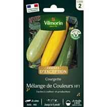 Graines Courgette Mélange de Couleurs - VILMORIN