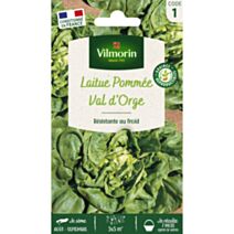 Graines Laitue d'Hiver Val d'Orge - VILMORIN