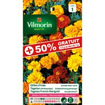 Graines Œillet d'Inde Bonita Varié - VILMORIN