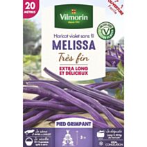 Graines Haricot Grimpant Violet Mélissa 20m - VILMORIN