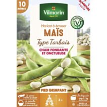 Graines Haricot Grimpant à Ecosser Maïs 10m - VILMORIN