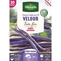 Graines Haricot Nain Violet Velour 20m - VILMORIN