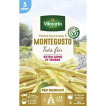 Graines Haricot Grimpant Beurre Monte Gusto 5m - VILMORIN
