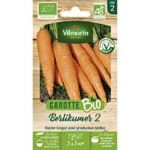 Graines Carotte Berlikumer 2 Bio - VILMORIN