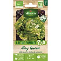 Graines Laitue Pommée May Queen Bio - VILMORIN
