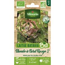 Graines Laitue Batavia Blonde à Bord Rouge 2 Bio - VILMORIN
