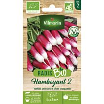 Graines Radis Flamboyant 2 Bio - VILMORIN