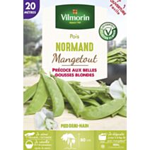 Graines Pois Mangetout Normand 20m - VILMORIN