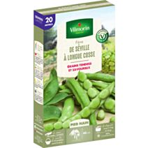 Graines Fève de Séville à Longue Cosse 20m - VILMORIN