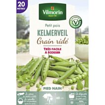 Graines Pois Nain à Grain Ridé Kelmerveil 20m - VILMORIN