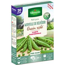 Graines Pois Nain à Grain Ridé Merveille de Kelvedon 20m - VILMORIN