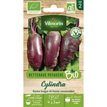 Graines Betterave Potagère Cylindra Bio - VILMORIN