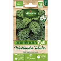 Graines Chou Frisé Westlandse Winter Bio - VILMORIN