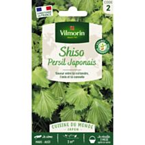 Graines Shiso Vert - VILMORIN