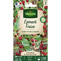 Graines Epinard Fraise - VILMORIN