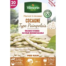 Graines Haricot Nain à Ecosser Cocagne 20m - VILMORIN