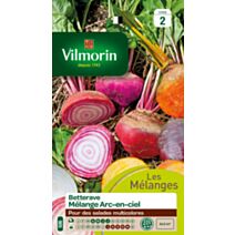 Graines Betterave Potagère Arc en Ciel - VILMORIN