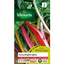 Graines Poirée Bright Lights - VILMORIN