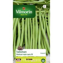 Graines Haricot Nain Vert Talisman - VILMORIN