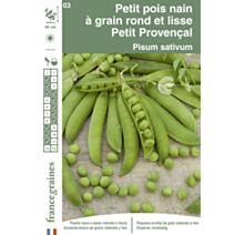 Graines Petit Pois Petit Provençal - FRANCE GRAINES