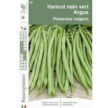Graines Haricot Nain Vert Argus - FRANCE GRAINES