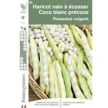 Graines Haricot Nain à Ecosser Coco Blanc Précoce - FRANCE GRAINES