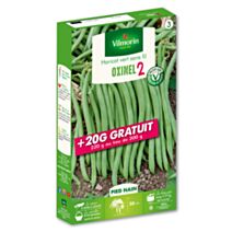 Haricot nain vert sans fil Oxinel 2 +20g gratuit - VILMORIN
