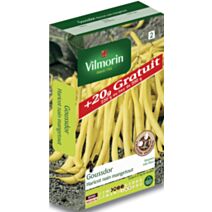 Graines Haricot Nain Beurre Goussdor - VILMORIN