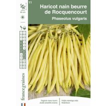 Graines Haricot Nain Beurre de Rocquencourt - FRANCE GRAINES