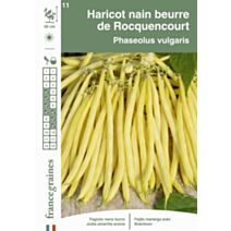 Graines Haricot Nain Beurre de Rocquencourt - FRANCE GRAINES