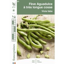 Graines Fève Aguadulce à Très Longue Cosse - FRANCE GRAINES