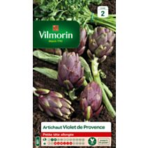 Graines Artichaut Violet de Provence - VILMORIN