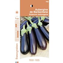 Graines Aubergine de Barbentane - FRANCE GRAINES