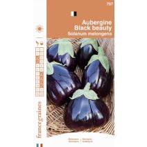 Graines Aubergine Black Beauty - FRANCE GRAINES