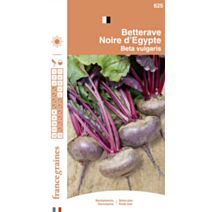 Graines Betterave Noire d'Egypte - FRANCE GRAINES